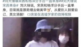 刘大锤爆料今日恋情视频