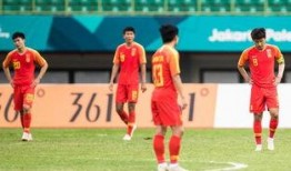 国家队队员爆料新闻最新,备战世界杯背后的故事与挑战