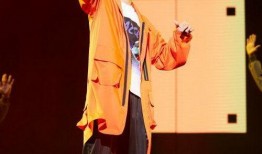 最新爆料的辛巴歌曲,独家揭秘背后创作故事